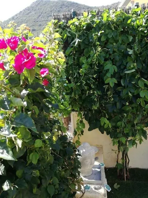 Residence Avec Piscine Face A La Mer, 1Ere Ligne 兰卡